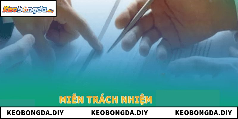 Tổng quan về chính sách miễn trừ trách nhiệm